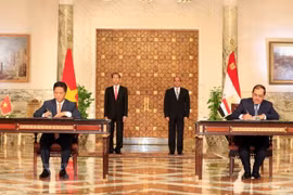 Vietnam y Egipto emiten declaración conjunta