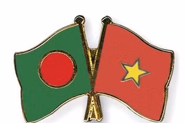 Visita de presidente vietnamita fomenta relaciones tradicionales con Bangladesh, afirma embajador