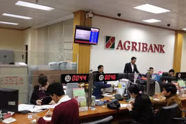 Banco vietnamita Agribank ofrece servicios a 164 países 