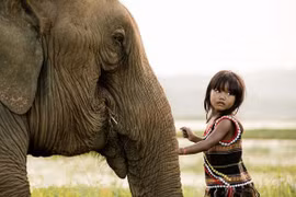 Nominan a fotógrafo francés residente en Vietnam para Trophées des Francais de l´étranger