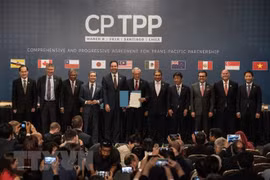 CPTPP entra en vigor de forma oficial 