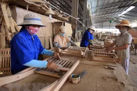 Productos madereros representarán la mitad de las exportaciones de provincia vietnamita de Quang Tri 