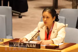 Vietnam condena todos los actos de violencia y abusos contra civiles