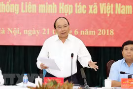 Premier de Vietnam resalta papel de cooperativas en integración global 