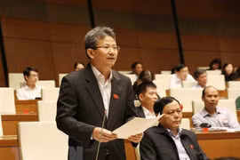 Parlamento de Vietnam aprueba previsión presupuestaria para 2019 