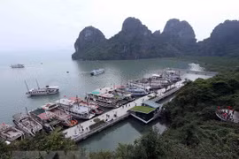 Vietnam lanzará campaña de limpieza de playas en zonas centrales 