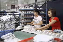 Vietnam y la India mantienen fuertes lazos en comercio de cuero y calzado