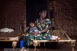 Países sudesteasiáticos y China se comprometen a erradicar la malaria