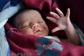 Vietnam se esfuerza por luchar y prevenir el tráfico de bebés
