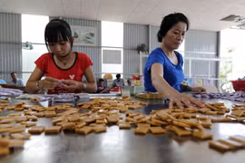 Cooperación entre PyMEs podrá sustentar relaciones Vietnam-Rusia, afirma embajador