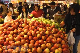 Vietnam, destino atractivo en Sudeste Asiático para negocios de fusión y adquisición