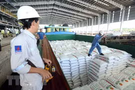 Grandes aportes al presupuesto del Complejo de Gas-Energía-Fertilizante de provincia vietnamita de Ca Mau 
