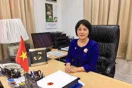 Relaciones entre Vietnam y Singapur marchan a buen ritmo, sostiene embajadora vietnamita