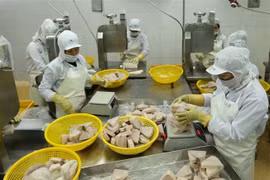 Vietnam despliega varias políticas para el levantamiento de tarjeta amarilla de UE