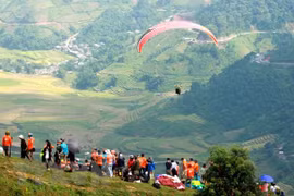 Parachutes revolotearán sobre arrozales dorados en provincia noroccidental de Vietnam