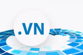 Dominio de internet de Vietnam alcanza rápido crecimiento con 445 mil páginas web