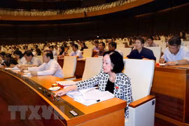 Vietnam posterga aprobación de Ley de Unidades Administrativas- Económicas Especiales