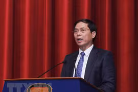 Aprueban orientaciones de política exterior de localidades de Vietnam para 2018-2021