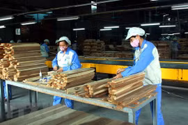 Vietnam registra superávit de casi seis mil millones de dólares en sector forestal