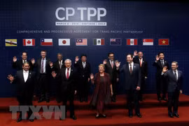 CPTPP, avance en tendencia de liberalización del comercio global 