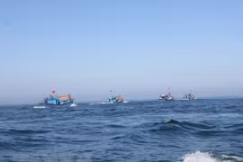 Prohibición temporal de China de pesca en el Mar del Este carece de validez, según ministerio vietnamita