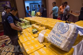 AIPA acuerda resoluciones para combatir la droga 