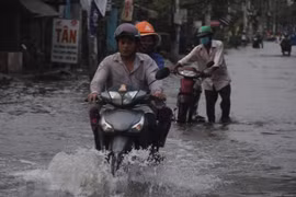 Países Bajos aspira a cooperar con Vietnam en reducción de impactos del cambio climático