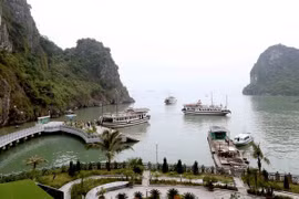 Provincia de Quang Ninh registra alta llegada de turistas durante el Año Nuevo Lunar