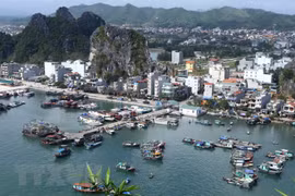  Premier vietnamita se compromete a considerar Ley de Unidades Administrativas- Económicas Especiales 