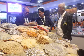 Celebran muestra internacional de acuicultura en Ciudad Ho Chi Minh 