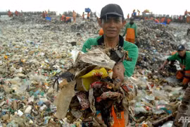 Indonesia trabaja para eliminar toneladas de basura en archipiélago Mil Islas