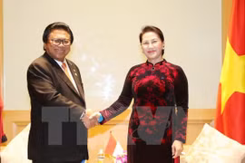 Vietnam valora contribución de Indonesia al mantenimiento de la paz regional