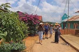 Agroturismo, nuevo estilo de turismo en la provincia vietnamita de Lam Dong