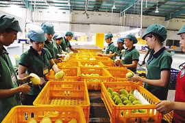 Nueva política de Corea del Sur dificulta a productos agrícolas vietnamitas