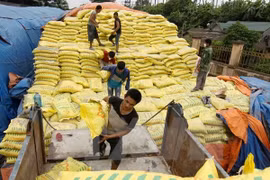 Vietnam importa 2,4 millones de toneladas de fertilizantes en primer semestre 