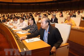 Parlamento de Vietnam aprueba Ley de Amnistía (modificada)