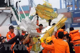 Concluye la identificación de las víctimas del desastre aéreo en Indonesia 