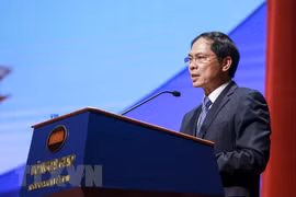  Vietnam se propone agilizar lazos entre contingentes dedicados a la diplomacia