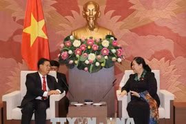 Vietnam listo para compartir experiencia en legislación con Laos
