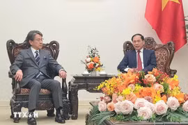 El vicepremier y canciller vietnamita, Bui Thanh Son (derecha), recibe al presidente de la Junta Directiva del JBIC, Maeda Tadashi. (Foto: VNA)