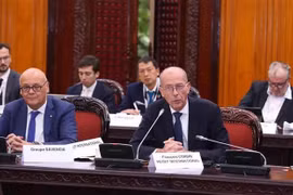 Francois Corbin, vicepresidente de MEDEF y representante especial del Ministro de Relaciones Exteriores y de Europa de Francia para las relaciones económicas en la región de la ASEAN, interviene en la reunión (Foto: VNA)
