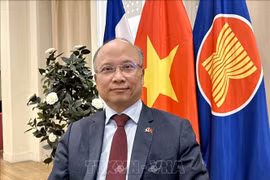 El embajador de Vietnam en Francia, Dinh Toan Thang (Foto: VNA)
