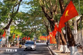Una calle adornada con banderas y carteles en la ciudad de Ca Mau, de la provincia homónima (Foto: VNA)