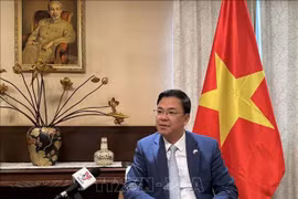 El embajador de Vietnam en Japón, Pham Quang Hieu (Foto: VNA)