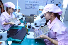 Nexos comerciales Vietnam-China progresan sustancial y efectivamente