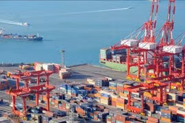 En el puerto de Busan, Corea del Sur (Foto: VNA)