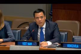 El embajador Dang Hoang Giang, jefe de la misión permanente de Vietnam ante la ONU (Foto: VNA)