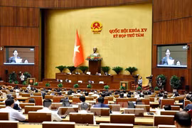 Panorama de la cita (Foto: VNA)