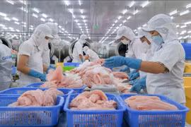 Procesamiento del pescado Tra (Foto: VNA)