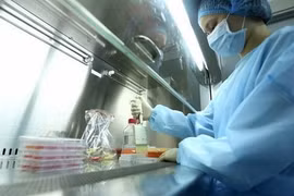 Vietnam proyecta reestructurar programas nacionales de ciencia y tecnología